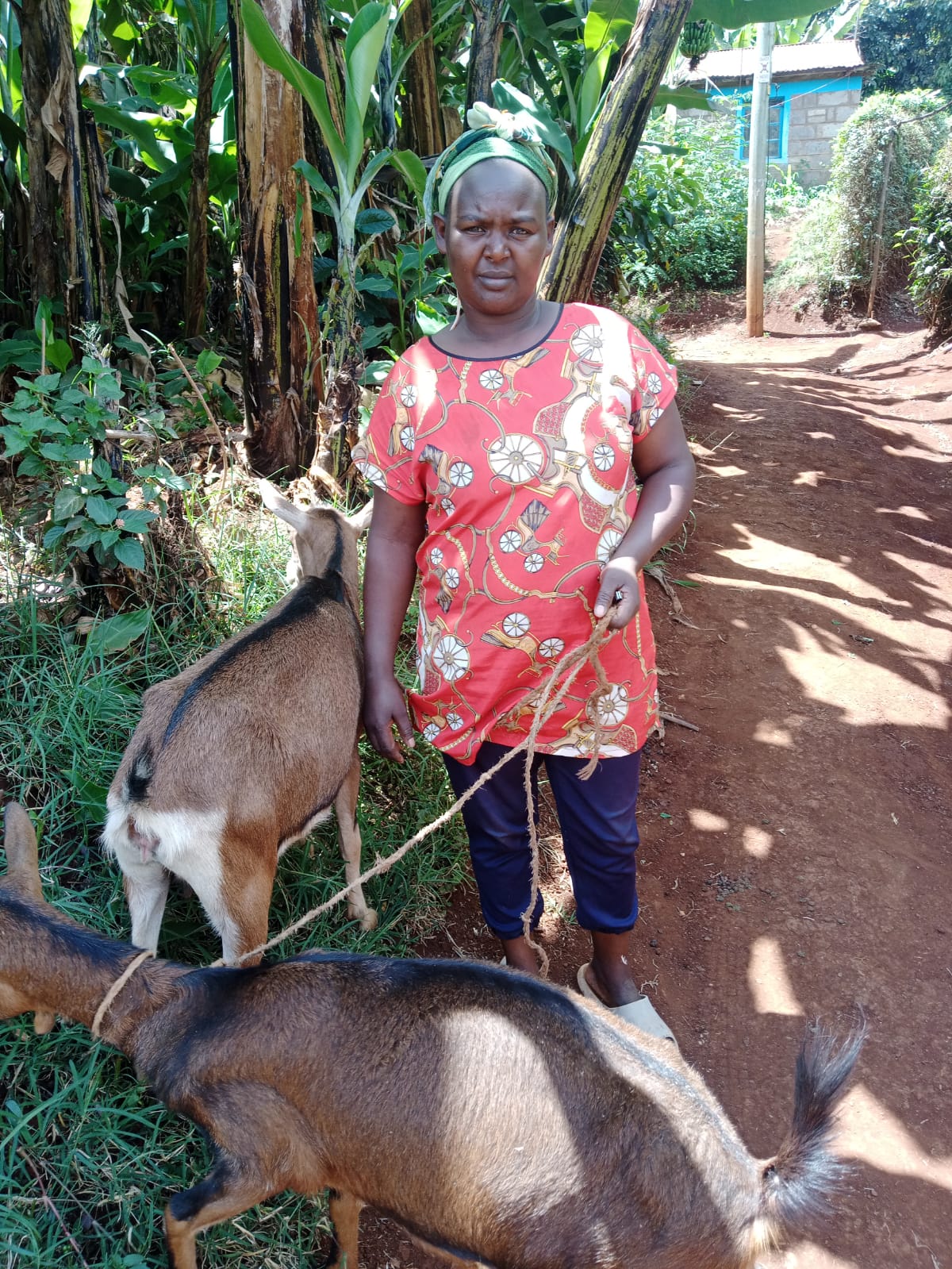 Women Shaping Communities